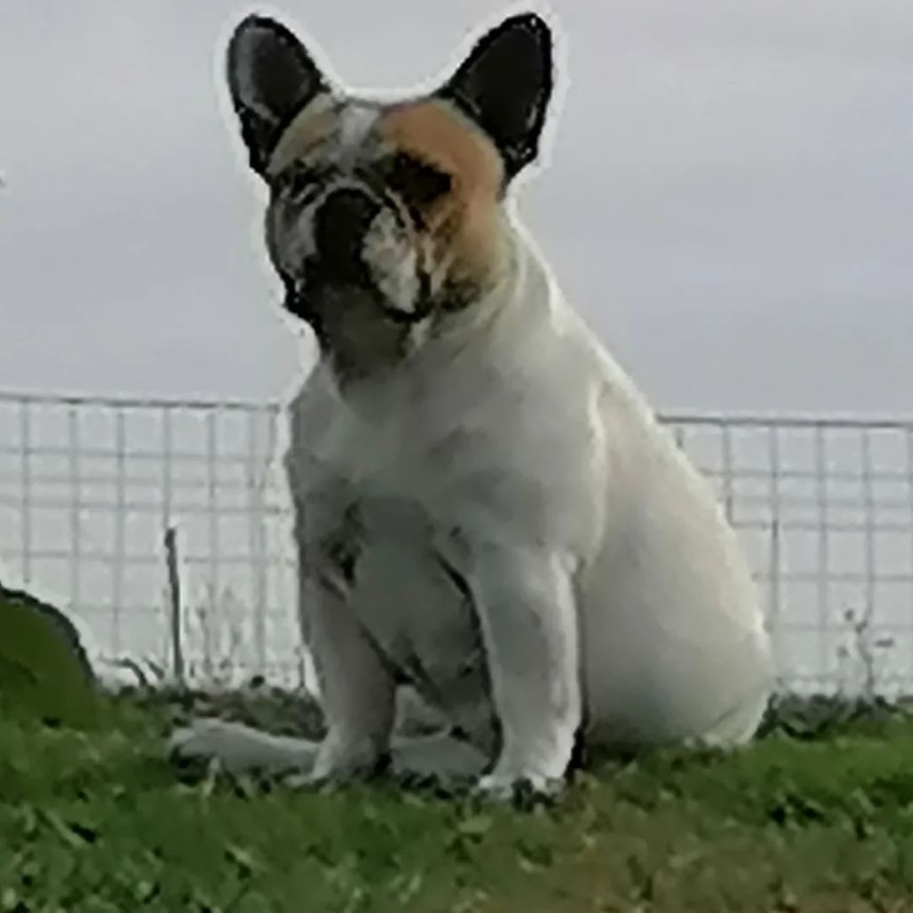 Seejay 